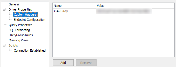 Custom Headers screen underneath Driver Properties showing a custom header field called "X-API-Key" and a value consisting of the string API key.